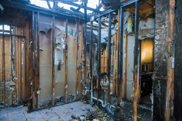 Professional Fire Damage Removal technician working in Hazen, AR